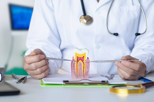 Best Broken or Cracked Tooth Emergency Dentist in Baiting Hollow, NY